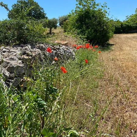 بيت للعطل Colinella