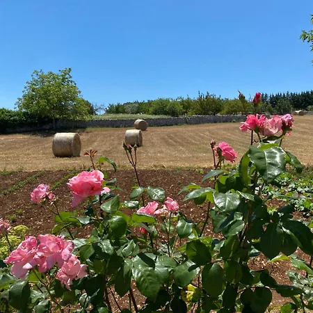 Colinella ألبيروبيللو